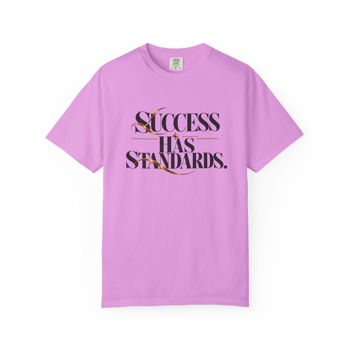 Success Has Standards T-Shirt