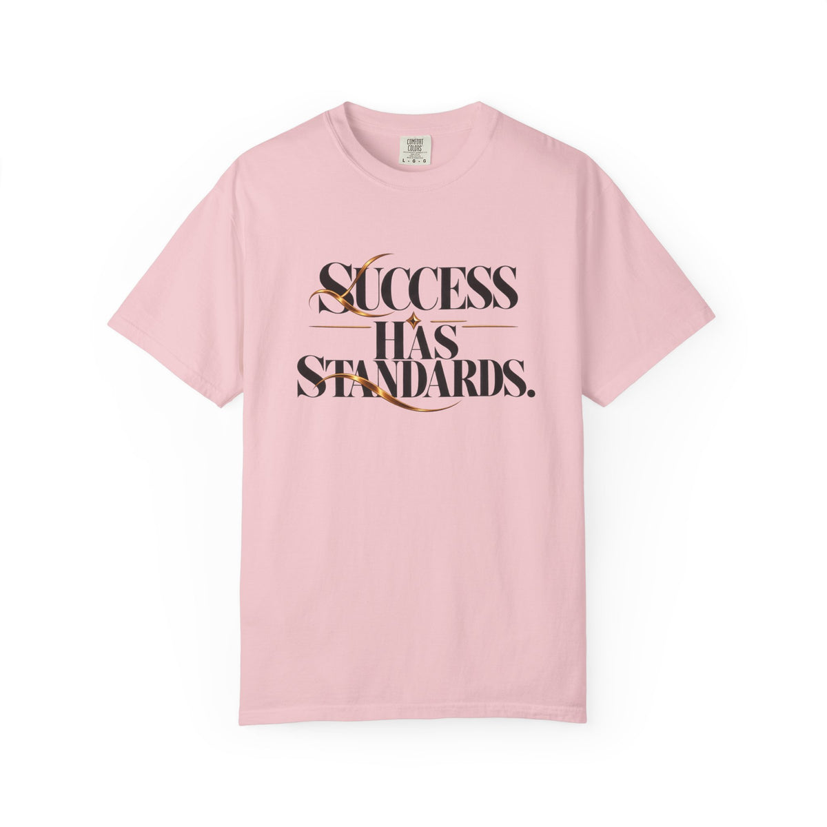 Success Has Standards T-Shirt