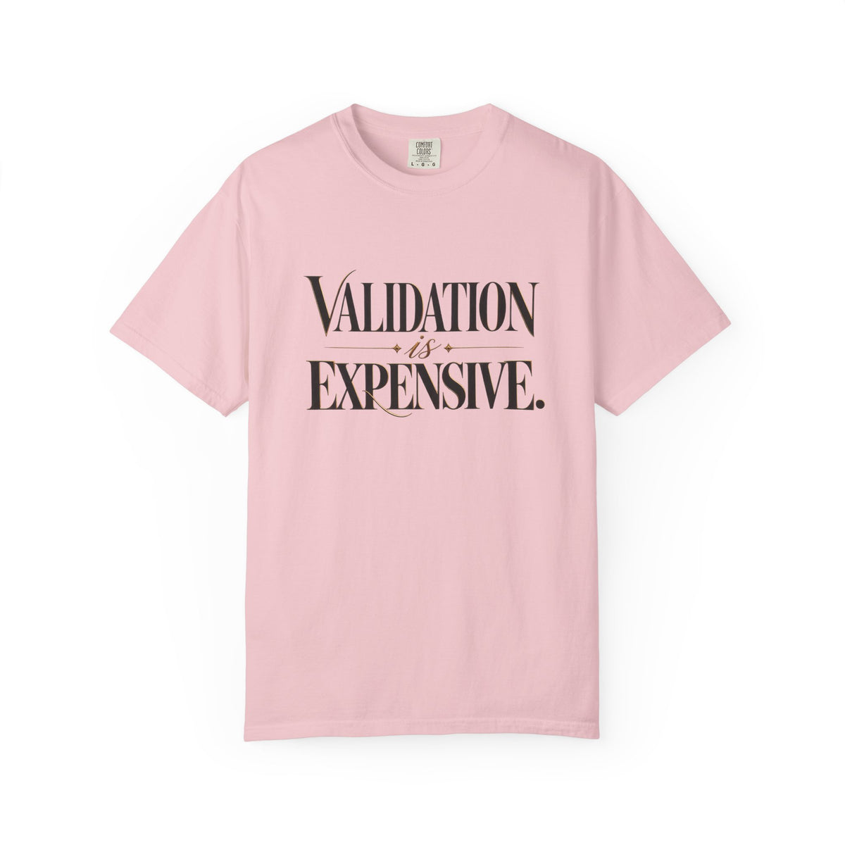 Validation Is Expensive T-Shirt