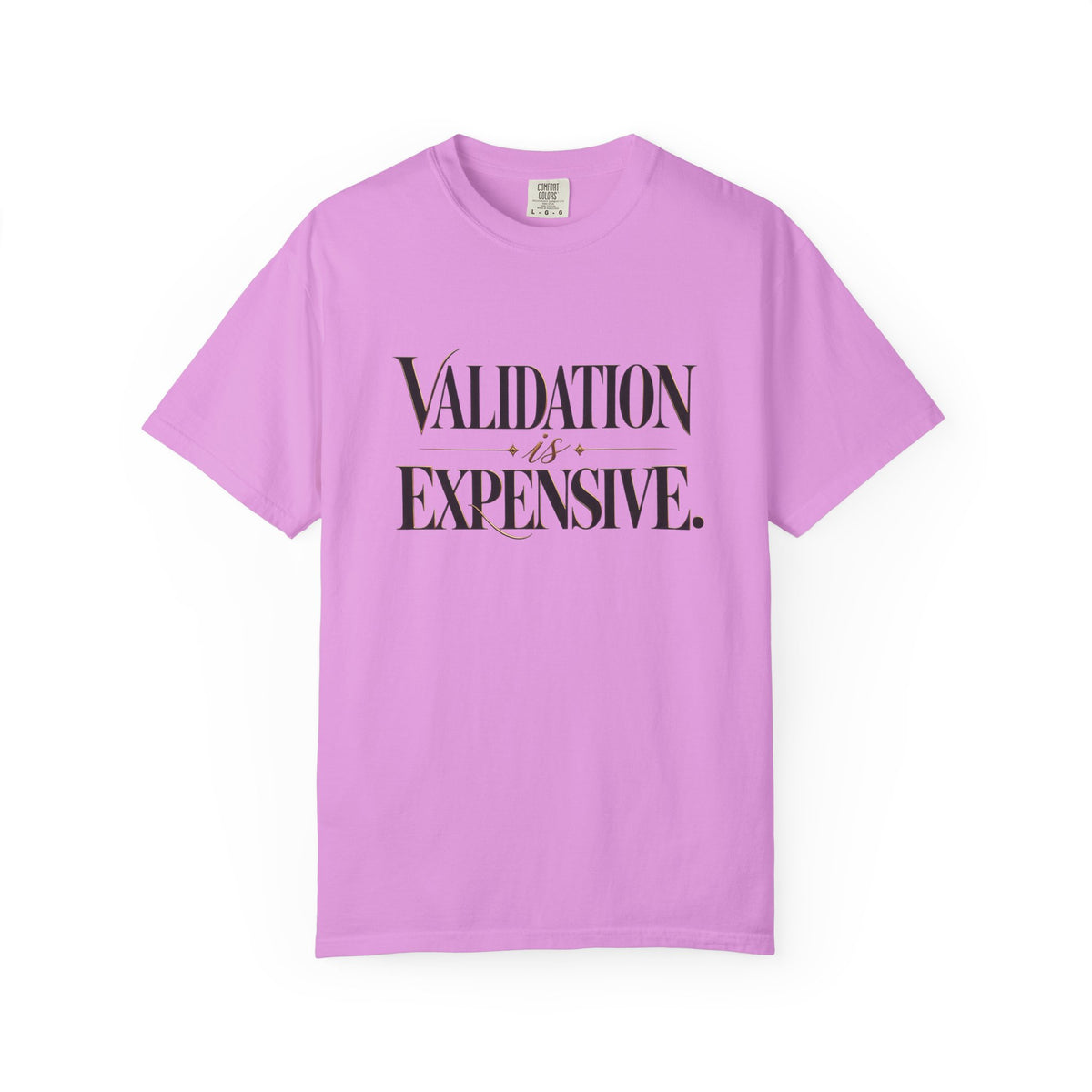 Validation Is Expensive T-Shirt